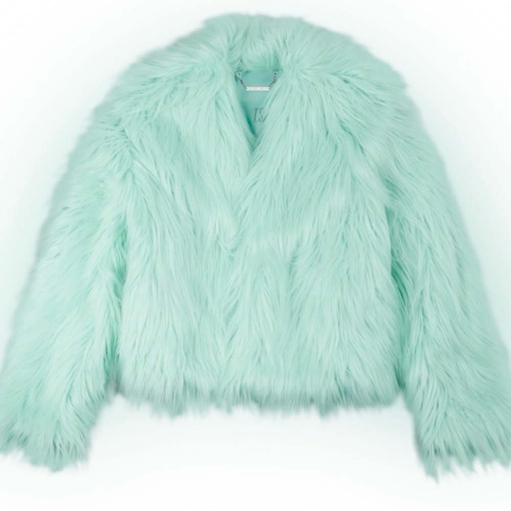 ISO | Taylor Swift | Mint Green Faux Fur Jacket